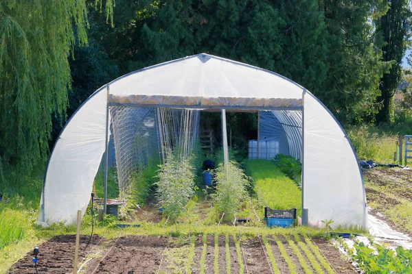 庭師が庭に植える前に早く植物を始めることができる小さな家庭の庭の温室の正面図 — ストック写真