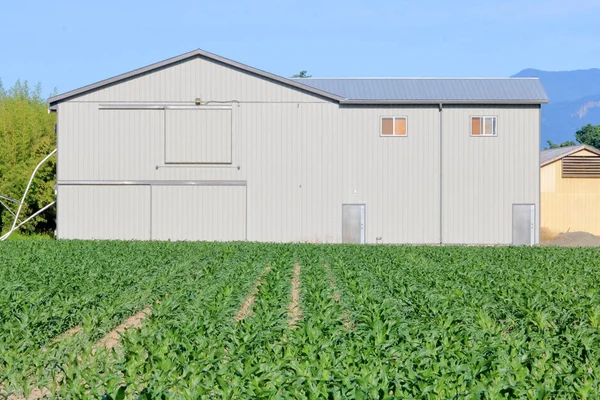 Teljes Front Kilátás Egy Alapvető Modern Farm Épület Egy Tolóajtós — Stock Fotó