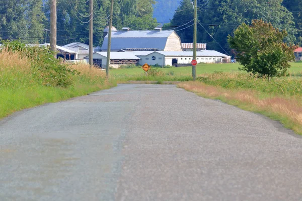 Vista Ángulo Bajo Final Una Carretera Rural Que Conduce Edificios — Foto de Stock