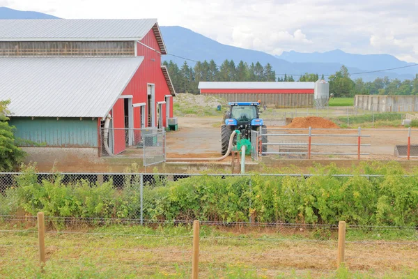 Vue Large Tracteur Utilisé Pour Pomper Fumier Des Bâtiments Laitiers — Photo