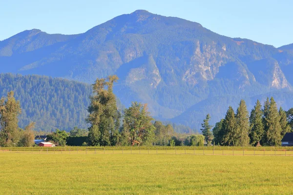 Acres Summer Grassland Found Pacific Northwest Area British Columbia Canada — Stock Photo, Image