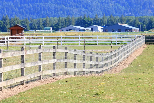 Pastureland Longa Linha Vedação Que Curva Curva Para Marcar Área — Fotografia de Stock