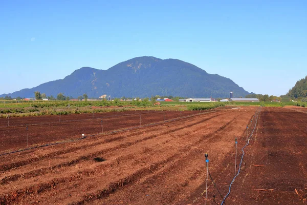 暗く豊かな土壌の景観と 最初に土地に灌漑システムを設置して植え付けの準備 — ストック写真