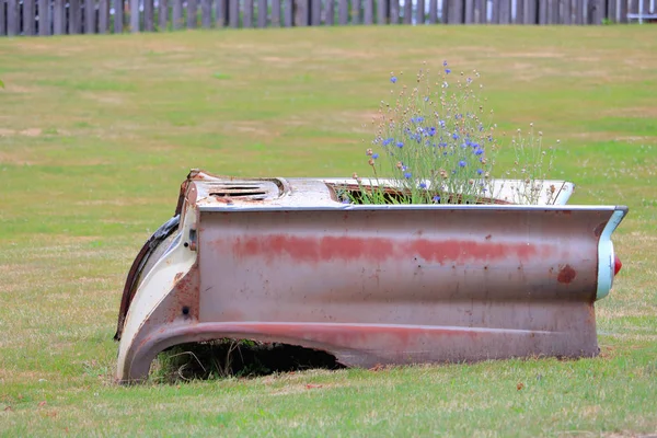 Antika Bir Araba Bagajı Dekoratif Bir Bahçe Ekici Dönüştürülmüştür — Stok fotoğraf