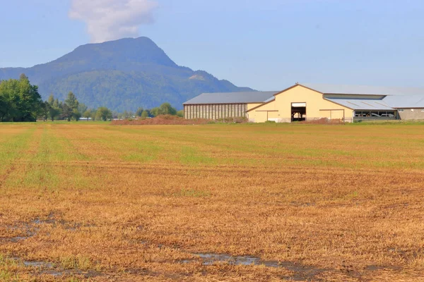 Široká Otevřená Zemědělská Půda Nalezena Oblasti Fraser Valley Britské Kolumbii — Stock fotografie