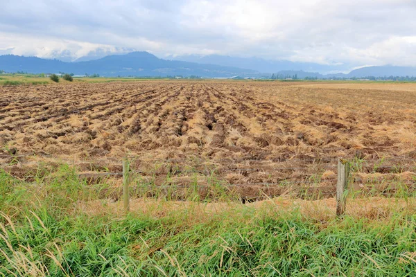 Breed Landschap Uitzicht Een Landelijk Spring Valley Een Geploegd Veld — Stockfoto