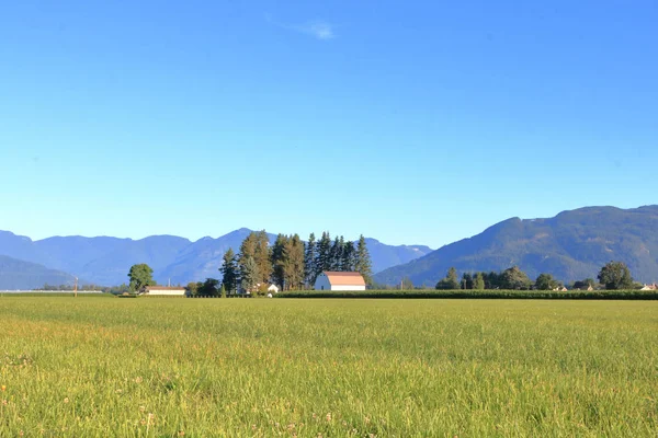 Gran Cielo Azul Abierto Columbia Británica Distrito Canadiense Fraser Valley — Foto de Stock