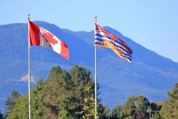 Deux Drapeaux Extérieurs Flottant Gauche Droite Sur Pavillon Représentant Emblème — Photo