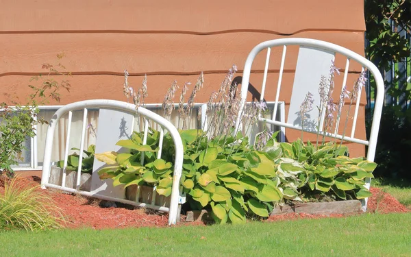 A gardener with a sense of humor by using an old bed frame as part of their landscaping presentation to create a \