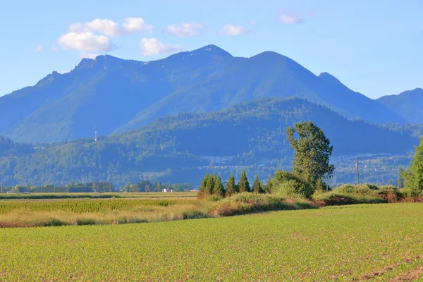 Wide View Beautiful Cascade Mountain Range Southwestern British Columbia Canada — Stock Photo, Image