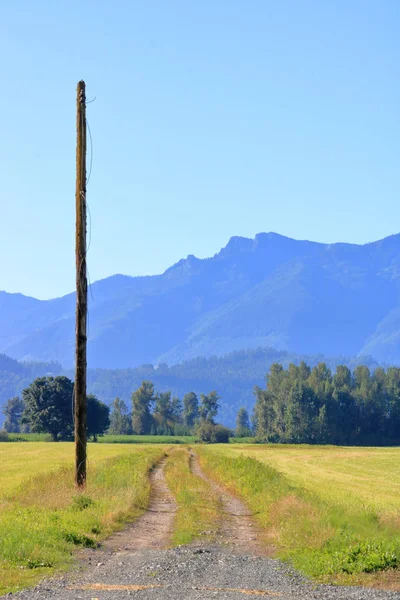 Vertical View Old Abandoned Hydro Electric Power Pole Standing Front — Stock Photo, Image