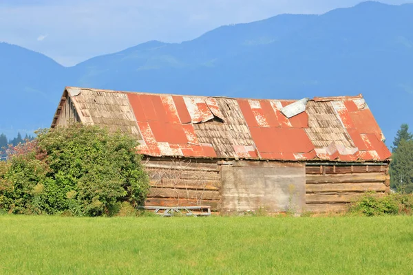 1880年代に開拓者農家によって建てられた溝の丸太の建物でよく構築された舌の例 夏の間に見られる — ストック写真