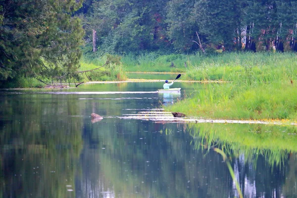 皮划艇在沼泽和湿地航行的广阔视野 周围是玻璃光滑的表面 周围是植被 — 图库照片