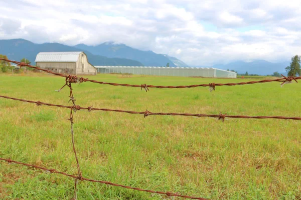 農地のエーカーを保護する前景にぶら下がっている錆びた古い有刺鉄線フェンスを持つ貧しい農場ケア保険のメタファー — ストック写真