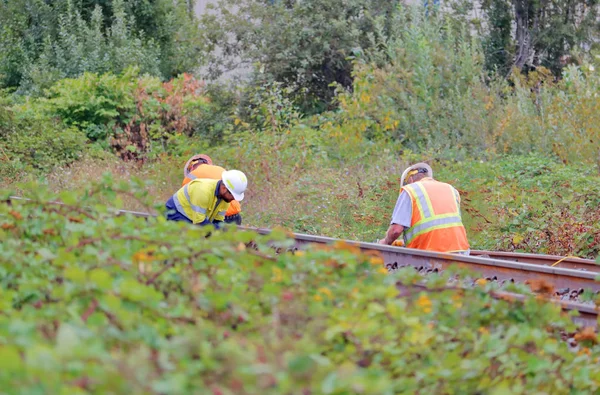 Una Parte Integral Seguridad Ferroviaria Grupo Técnicos Ferroviarios Que Trabajan — Foto de Stock