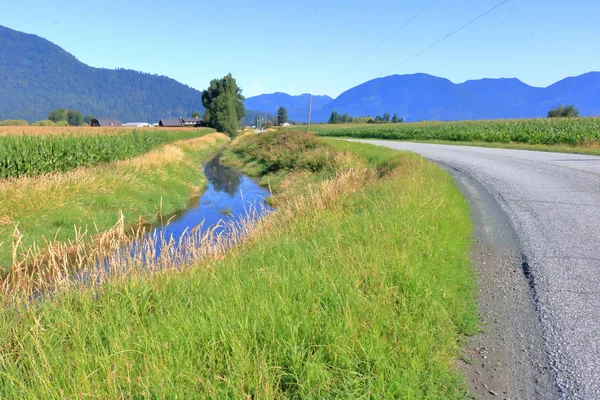 Winding Rural Road Winds Its Way Lush Agricultural Landscape Fraser — Stock Photo, Image