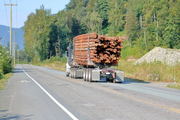 关闭不列颠哥伦比亚省半卡车通过相机的方式 锯木与沉重的松原重 — 图库照片