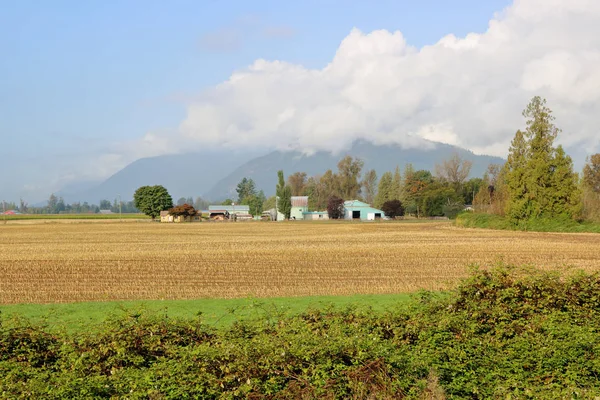 Vidéki Tanya Lakóházakkal Gazdasági Épületekkel Őszi Szezonban Kukoricamező Betakarítása Után — Stock Fotó