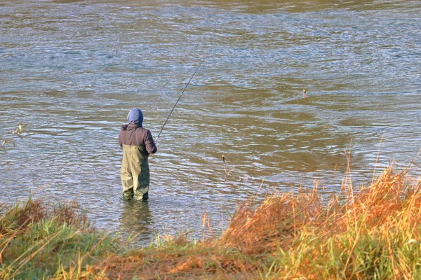 Vista Vicino Uomo Che Indossa Trampolieri Mentre Pesca Fiume Limpido — Foto Stock