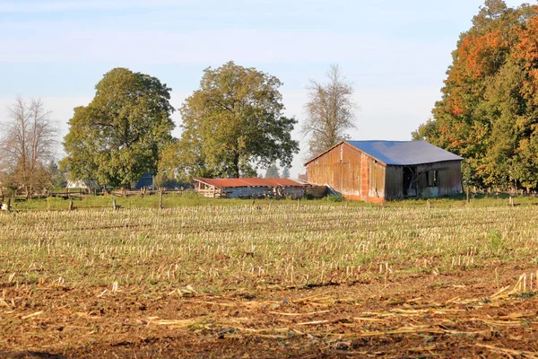 Ampla Vista Paisagem Antiga Virada Século Edifícios Agrícolas Pioneiros Ainda — Fotografia de Stock