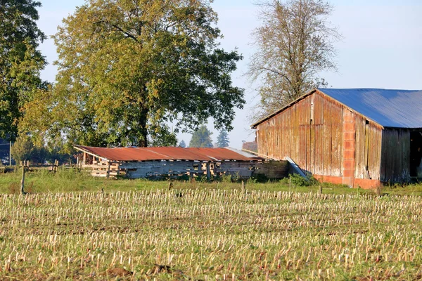 Schließen Sie Einen Alten Jahrhundertwende Pionier Bauernhof Gebäude Aus Baumstämmen — Stockfoto