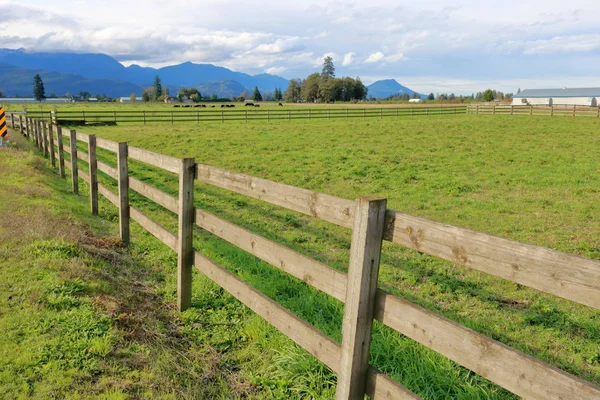 브리티시컬럼비아주 남서부에 프레이저 캐나다 그리고 지역의 농장에서 수있는 게이트가 목초지의 — 스톡 사진