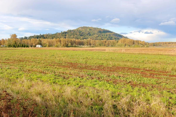 Vista Paisagem Uma Variedade Abundante Culturas Exuberante Vale Montanha Verde — Fotografia de Stock