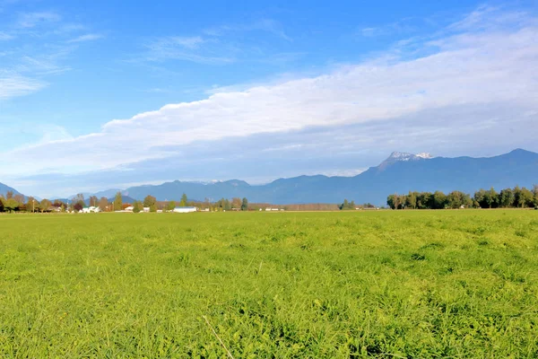 Vue Dégagée Dégagée Prairies Luxuriantes Fertiles Réparties Dans Une Vallée — Photo