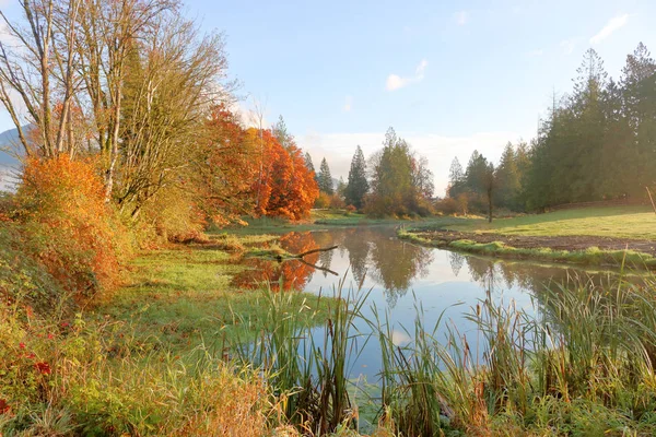 Schönes Herbstlaub Säumt Einen Glasklaren Teich Der Sich Wasser Spiegelt — Stockfoto