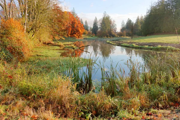 Wide View Crimson Red Colours Reflecting Glassy Smooth Canal Fall — Stock Photo, Image