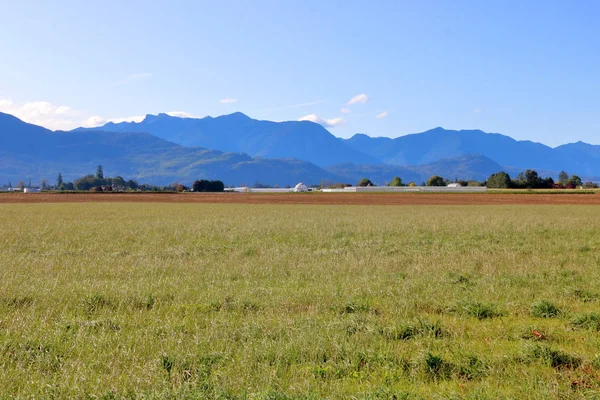 Ampla Faixa Vale Aberto Com Colinas Rolantes Buffer Acres Prados — Fotografia de Stock