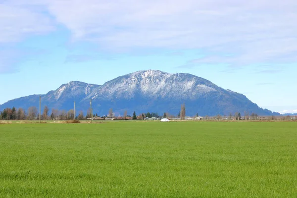 Ampi Pascoli Aperti Con Montagne Lontane Innevate All Inizio Della — Foto Stock