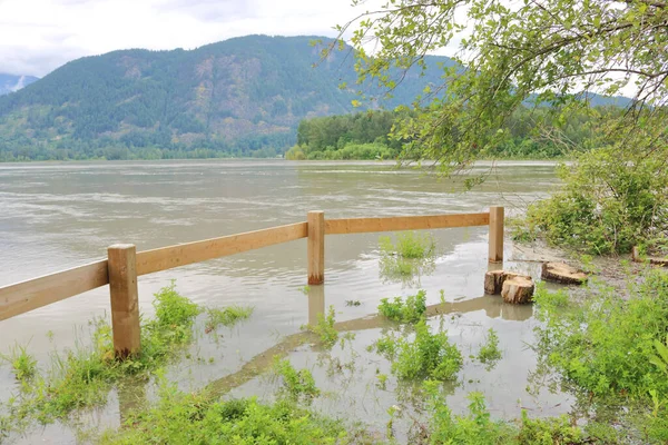 Vidsträckt Utsikt Över Flod Och Källa Översvämningar Som Vatten Har — Stockfoto
