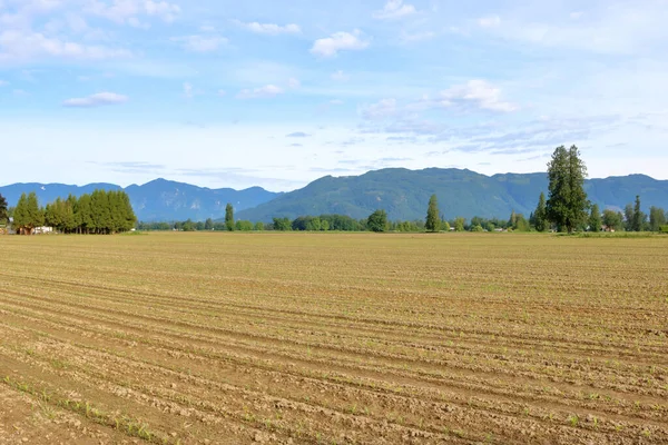 早春の間のプライムバレーファームの土地の広いオープン風景と豊かな 茶色の土壌のエーカーは 草の種で植え — ストック写真