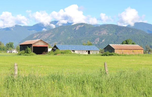 春天的山谷和明亮的乡村环境 一丛座农舍矗立在茂密的绿色草原后面 — 图库照片