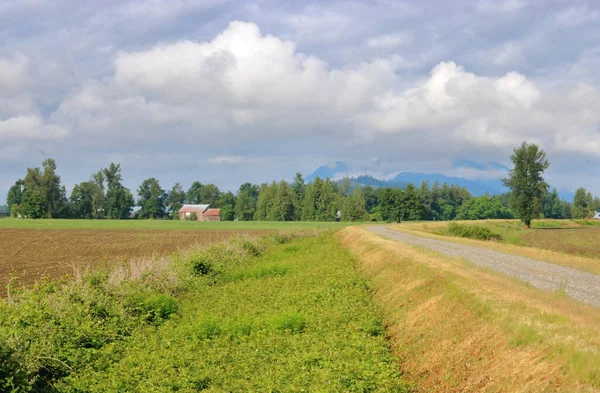Wide View East Dyke Chilliwack Canada Fraser Valley Protecting Farm — Stock Photo, Image
