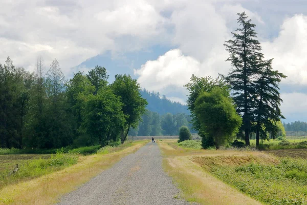 Vue Large Paysagère Homme Promenant Son Chien Sur Sentier Surélevé — Photo