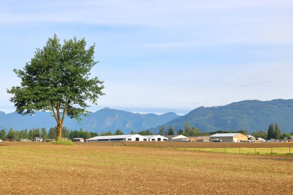 Ritratto Prati Appena Seminati Una Valle Rurale Durante Mesi Primaverili — Foto Stock