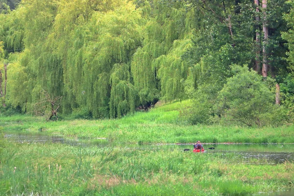 Weite Sicht Auf Einen Regenwald Entlang Der Südwestküste Von British — Stockfoto