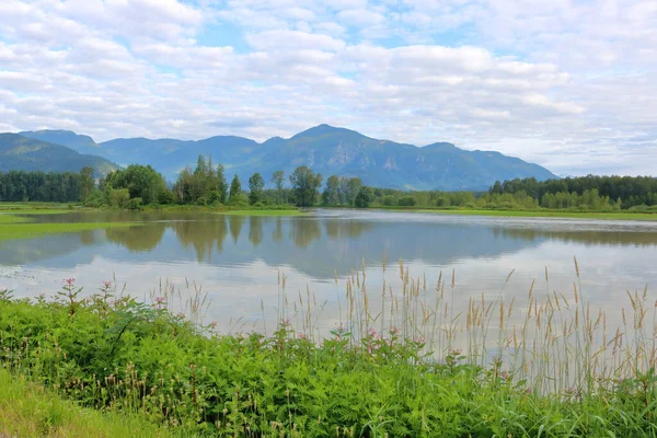 Wide View Agricultural Farm Land Eastern Section Fraser Valley Chilliwack — Stock Photo, Image