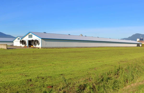 Full Complete View Modern Farm Building Used Holding Livestock Including — Stock Photo, Image