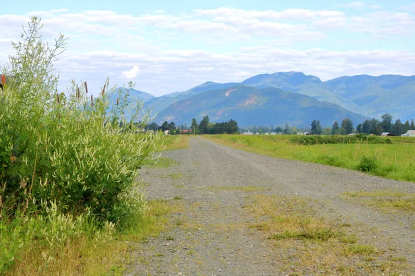 Weitwinkelblick Auf Eine Tal Landstraße Einem Ländlichen Landwirtschaftlichen Gebiet — Stockfoto