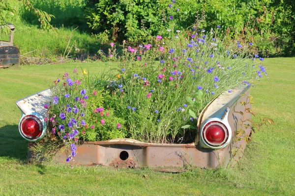 Creative Landscaping Trunk Antique Automobile Used Planter — Stock Photo, Image