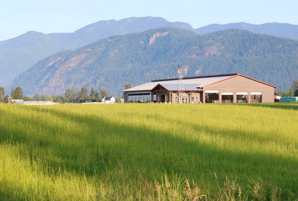 Gölgeler Sarı Çayırlar Boyunca Uzanır Yaz Vadisindeki Çiftlik Binaları Orada — Stok fotoğraf