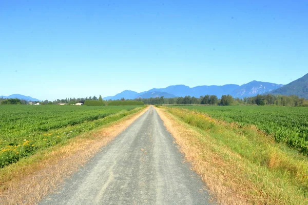 广阔的 风景秀丽的乡村夏季山谷 一条长长的 单一的石子路通向地平线 — 图库照片
