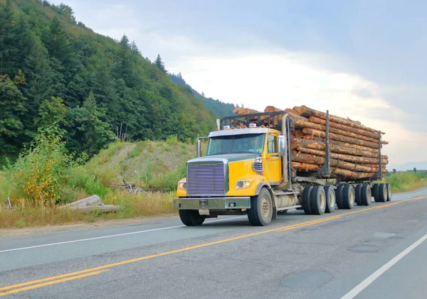 一个从右到左拖原木的伐木卡车的轮廓图 背景是山林 — 图库照片