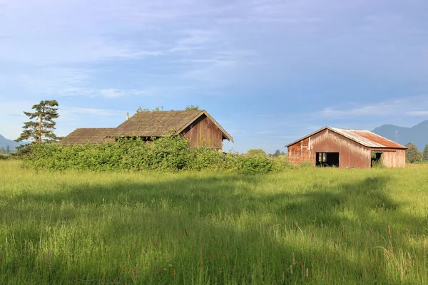 Vue Large Champ Rural Herbeux Dressent Vieux Bâtiments Agricoles Bois — Photo