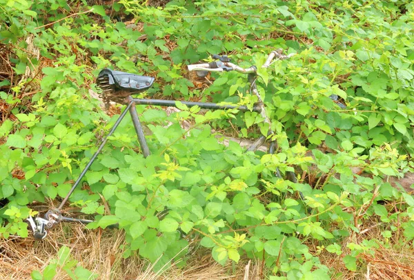 Close View Bicycle Frame Covered Plant Growth Disappearing Back Nature — Stock Photo, Image