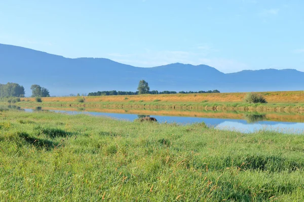 Uno Stretto Canale Fornisce Acqua Fresca Irrigazione Aziende Agricole Locali — Foto Stock