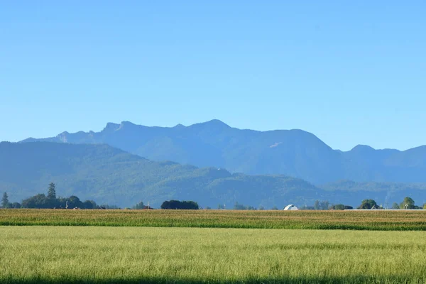 Paisaje Vista Entorno Rural Con Tierras Agrícolas Del Valle Bajo —  Fotos de Stock